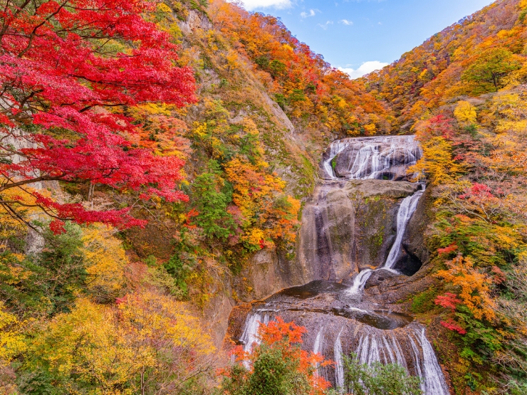 袋田の滝の紅葉