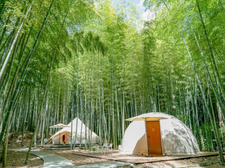 THE BAMBOO FOREST|ザバンブーフォレスト