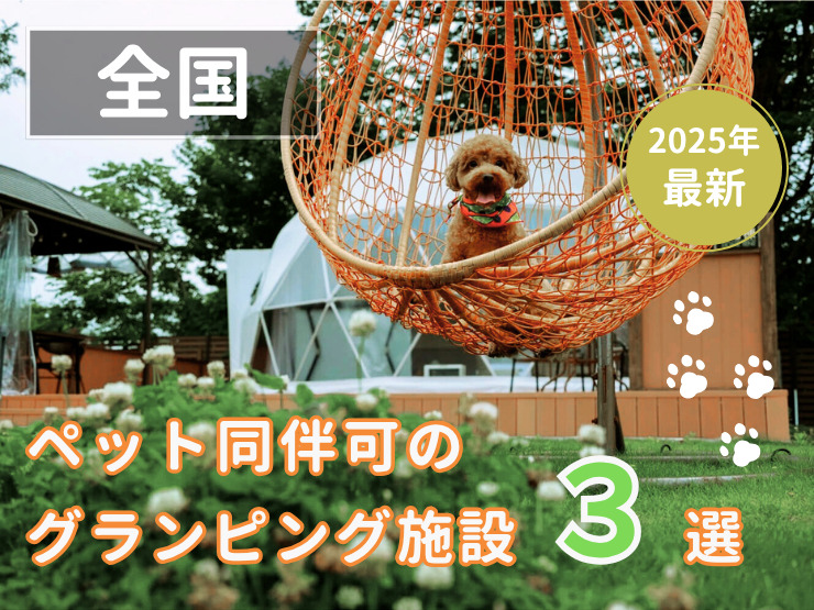 【ペット同伴可】グランピング3選！愛犬と自然を楽しむ