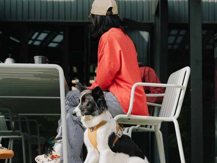 hotel norm. fuji｜ホテルノームフジ