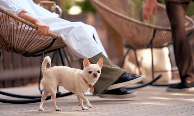 small planet CAMP&GRILL