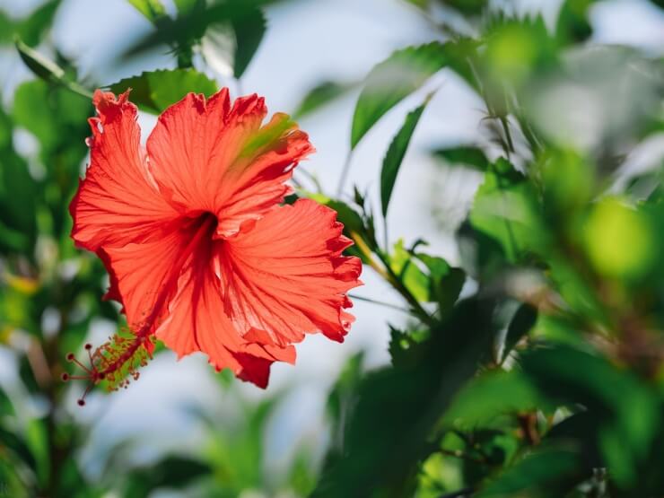 glampark resort アクナ浜