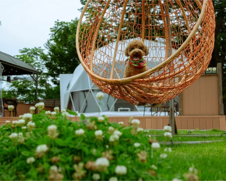 Gramercy Village 山中湖 Glamping & Sauna