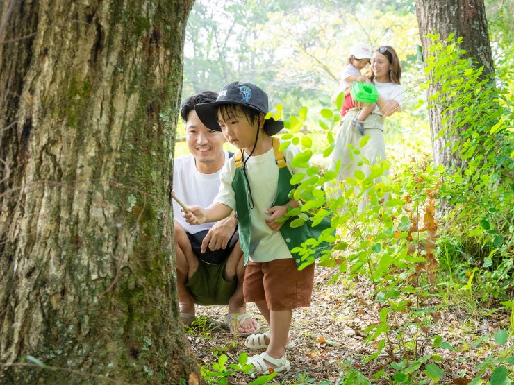 ザランタンひたち大宮の昆虫採集