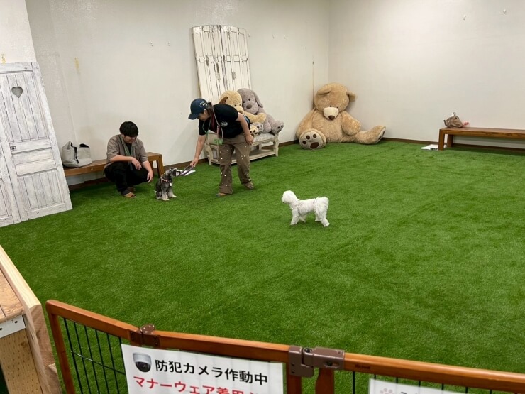 room_image