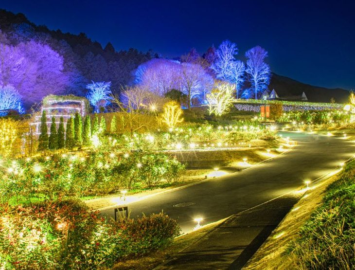 【茨城県内】2025年版ザランタンひたち大宮 | 冬のお出かけスポット