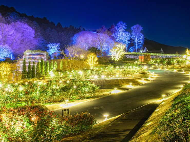 【茨城県内】2025年版ザランタンひたち大宮 | 冬のお出かけスポット