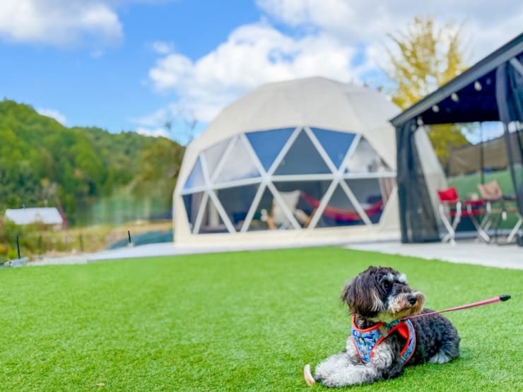 グランピング×古民家 MASAZUMI邸/GLAMPING & BBQ VILLAGE 焚き火テラス