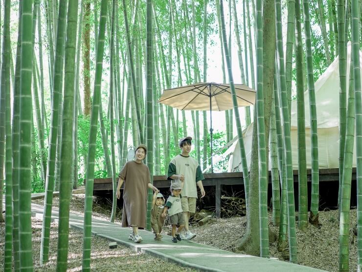 竹林の中を歩く親子