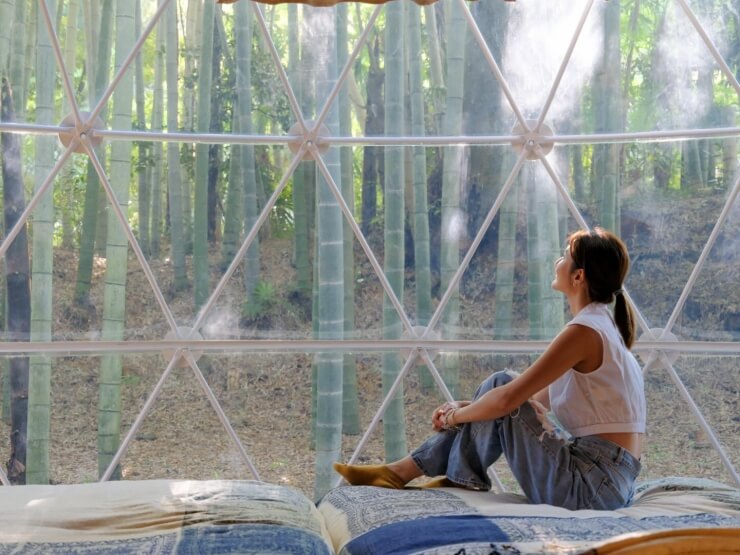 窓に広がる竹林を眺める女性