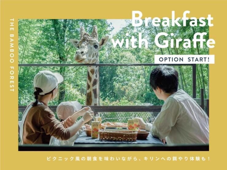 THE BAMBOO FORESTのキリンと朝食のお知らせ