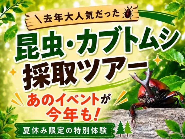 TOWAピュアコテージのカブトムシ採集ツアー