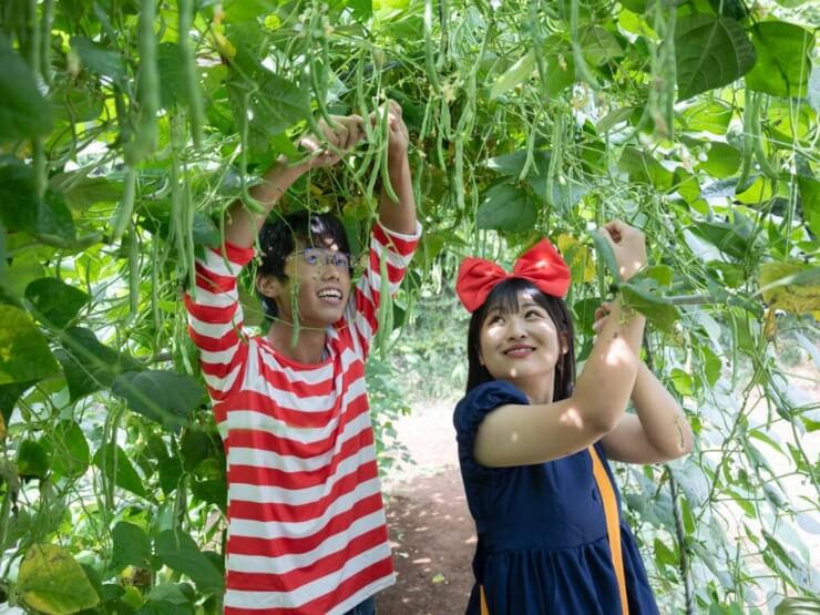 コスプレ野菜採りもの競争