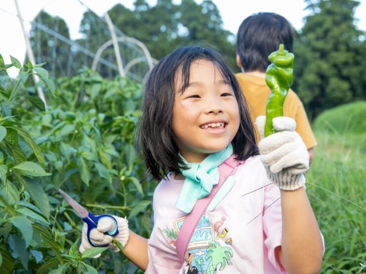 1棟付き1袋無料。農園リゾートならではの収穫体験