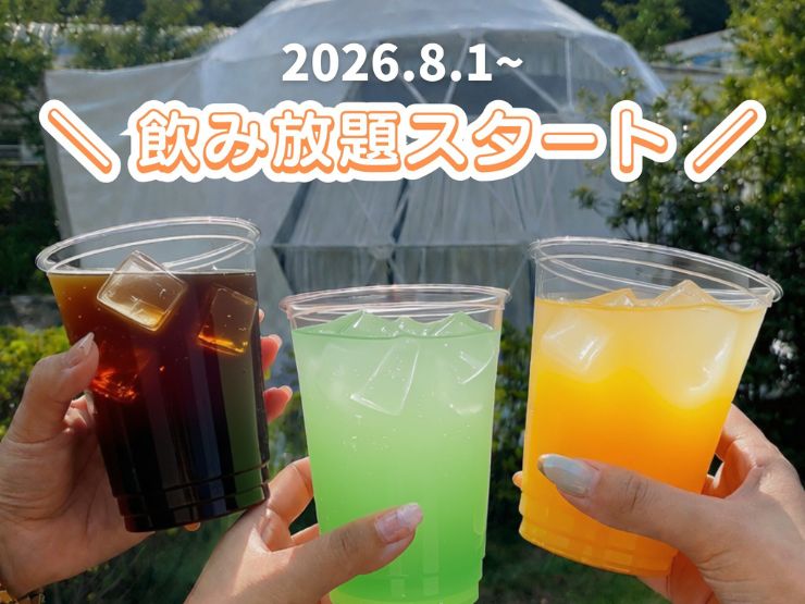 宿泊者が利用できる飲み放題のお知らせ