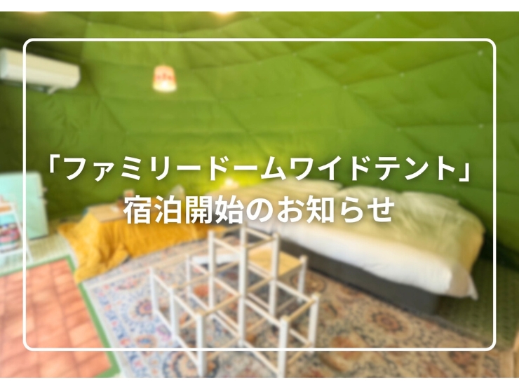 TACO GLAMPのお知らせ