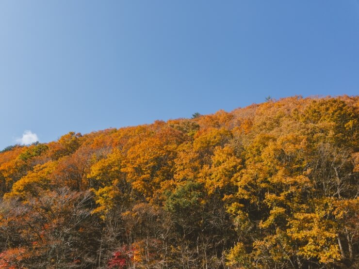 岡山県津山市阿波の彩られた山々