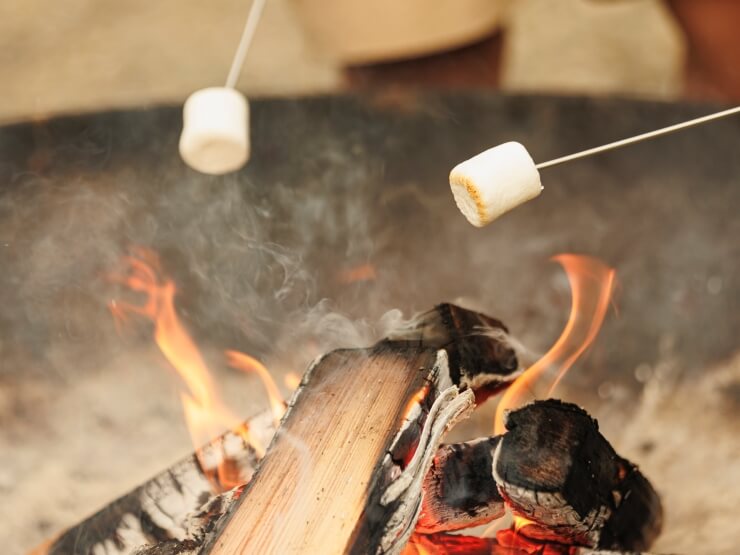 焚き火で焼きマシュマロ体験