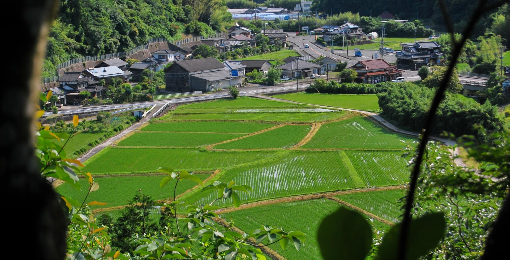施設の写真