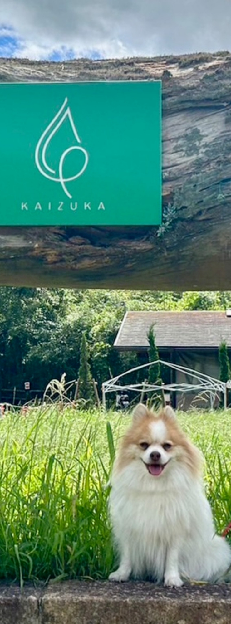 施設の写真
