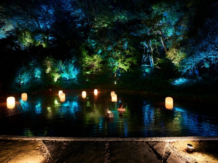 Concept image