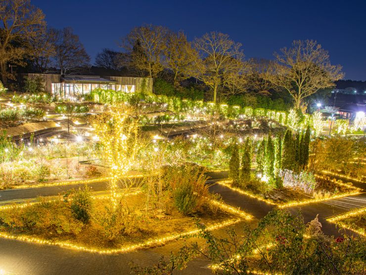 茨城フラワーパークの冬のイルミネーション