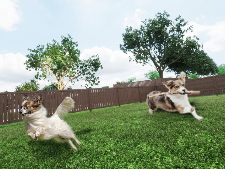 CHILL OUT GLAMPING ZAO