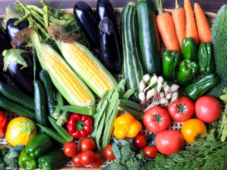 glampark 瀬底-Ocean Terrace-