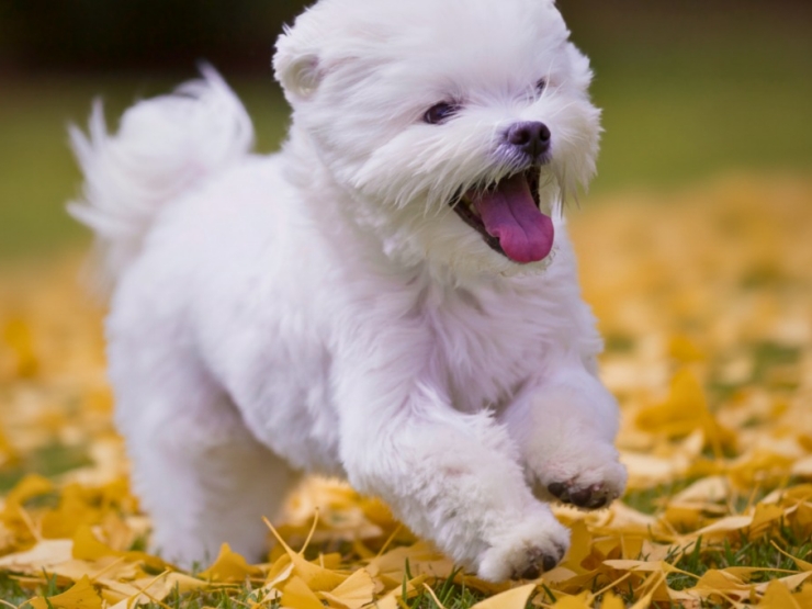 glampark イイトコ