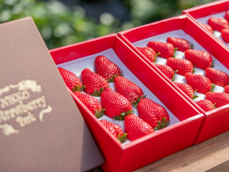 日光ストロベリーパークのお土産で購入することができるいちご