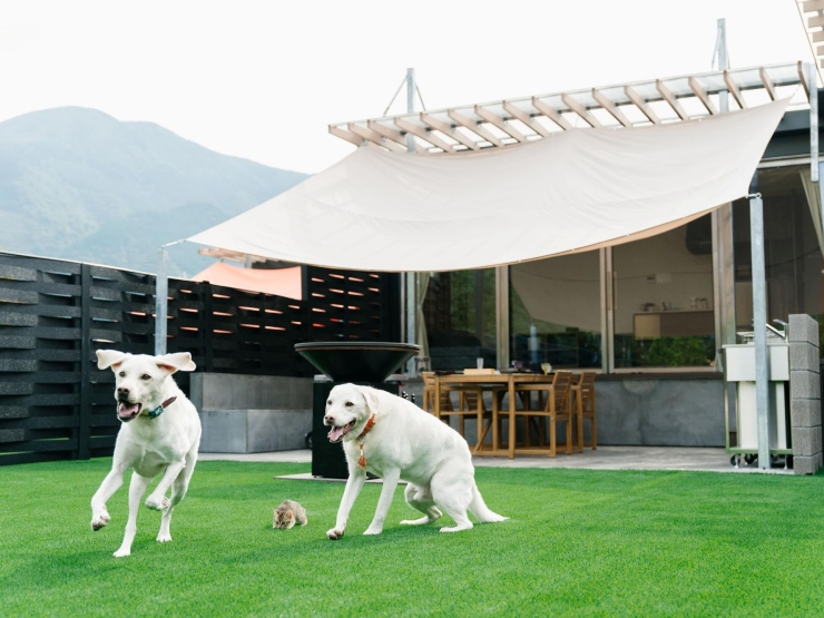 グランステイ＊ユフイン