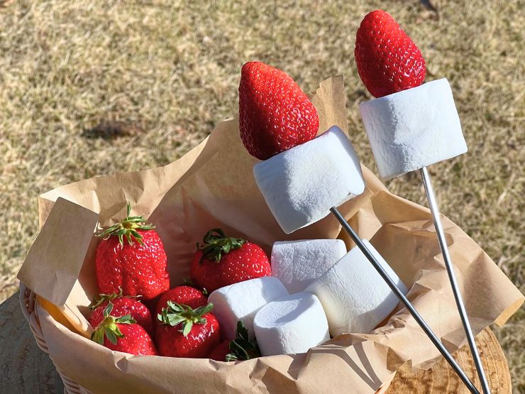 いちごキャンペーン