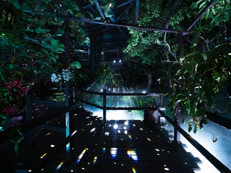 room_image