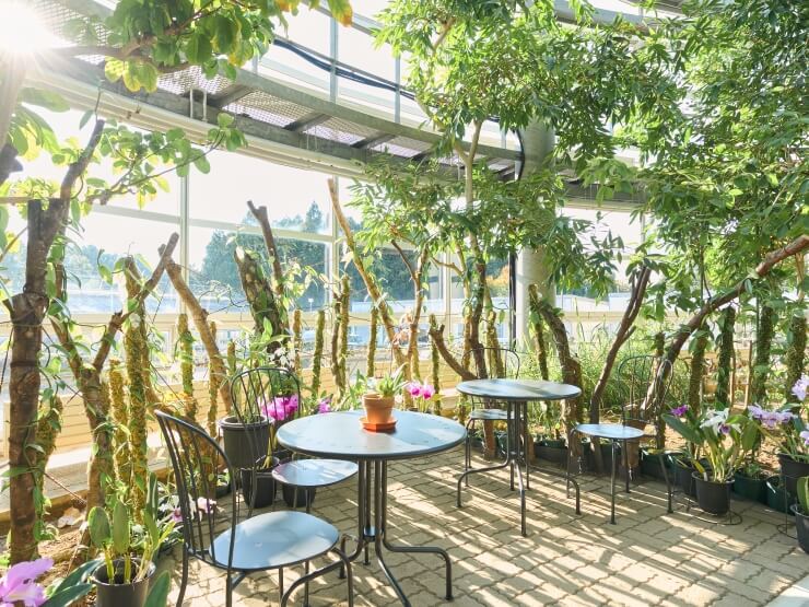 THE BOTANICAL RESORT 林音