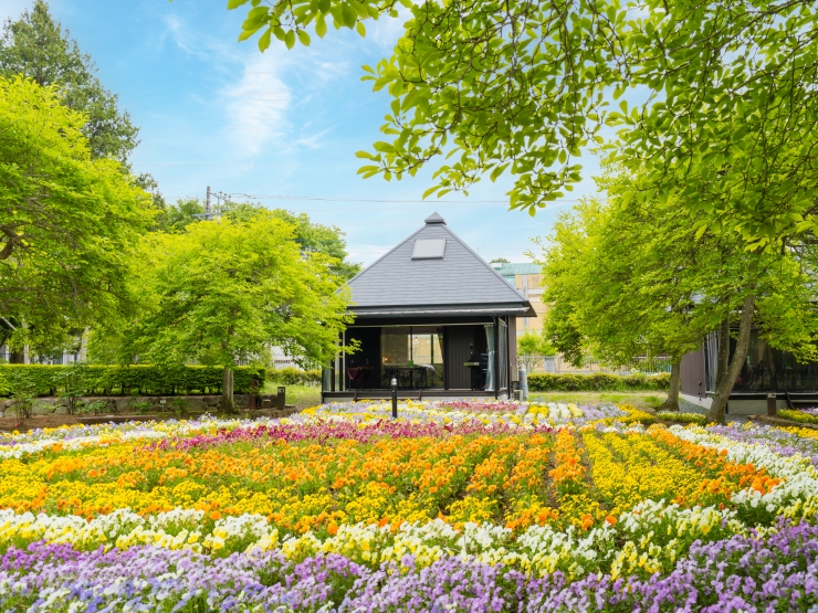THE BOTANICAL RESORT 林音