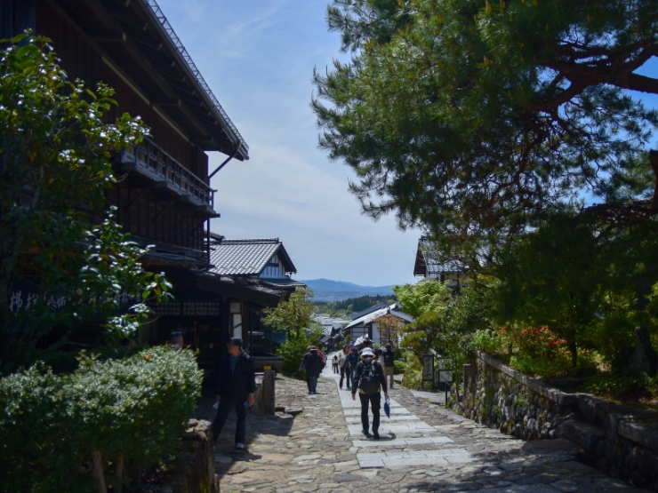 立派な松が並ぶ通り
