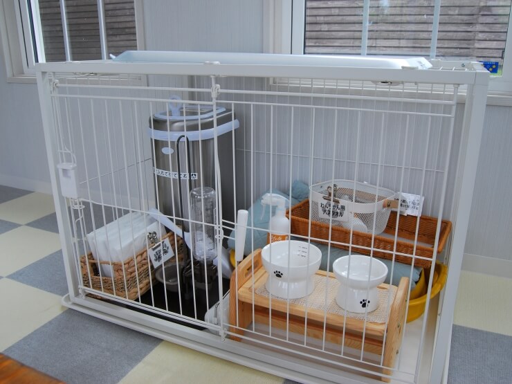 room_image