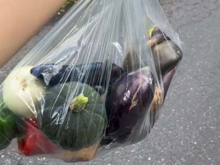 ザランタンあば村で収穫した野菜たち
