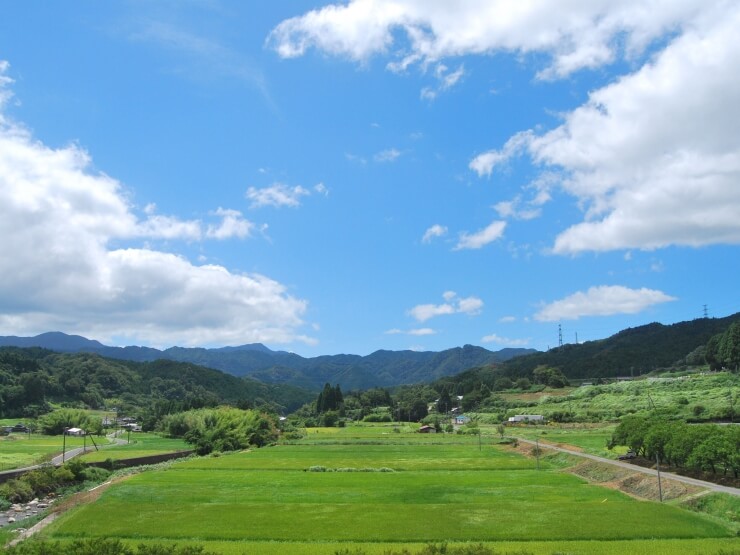 津山市阿波の田園風景